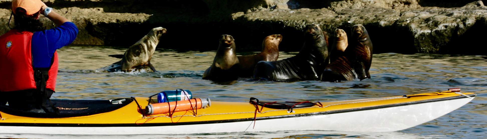 Seakayaking the Patagonia Atlantic Coast